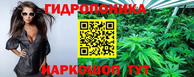прущая мука Будённовск