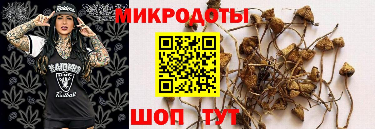 Псилоцибиновые грибы мухоморы  Вход с VPN  Свободный 